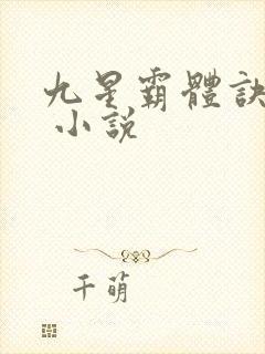 九星霸体诀龙尘 小说