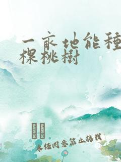 一亩地能种多少棵桃树