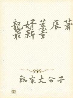 龙婿叶辰萧初然最新章