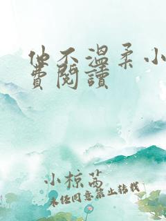 他不温柔小说免费阅读