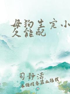 母狗生完小狗多久能配