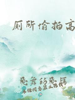 厕所偷拍高清