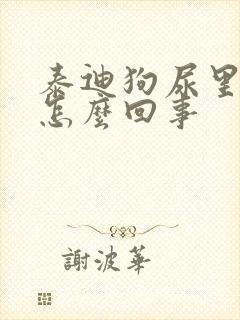 泰迪狗尿里带血怎么回事