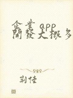 企业 app 开发大概多少钱