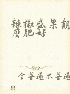 辣椒盛果期施什么肥好