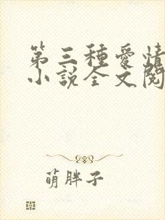 第三种爱情原著小说全文阅读