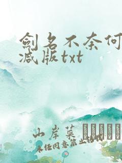 剑名不奈何未删减版txt