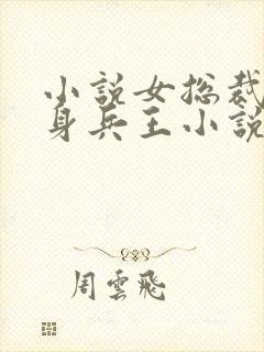 小说女总裁的贴身兵王小说