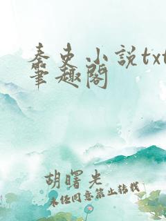 秦吏小说txt笔趣阁