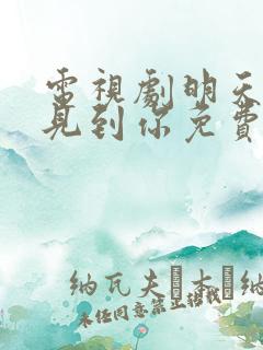 电视剧明天也想见到你免费播放