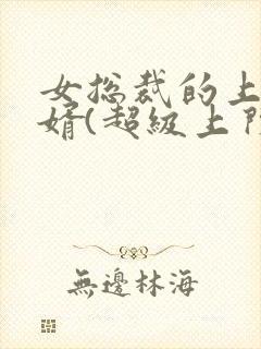 女总裁的上门女婿(超级上门女婿)