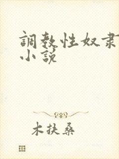 调教性奴隶母狗小说