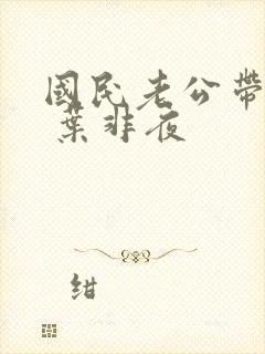 国民老公带回家 叶非夜