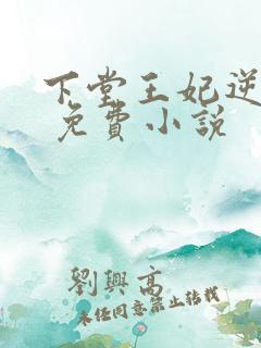 下堂王妃逆袭记 免费小说