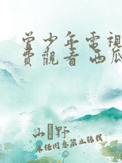 曾少年电视剧免费观看 西瓜