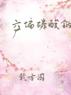 六偏磷酸钠 工厂