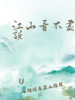 江山看不尽的小说