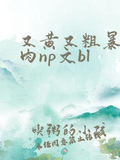 又黄又粗暴的纯肉np文bl