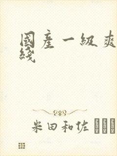 国产一级爽片在线