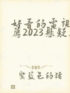 好看的电视剧推荐2023悬疑剧