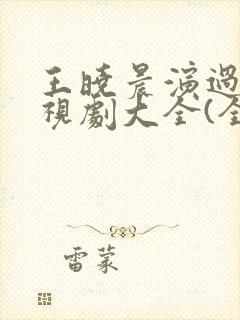 王晓晨演过的电视剧大全(全部)