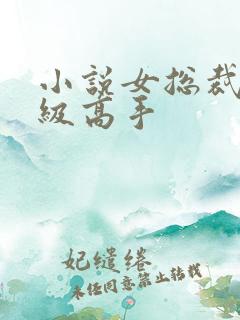 小说女总裁的神级高手