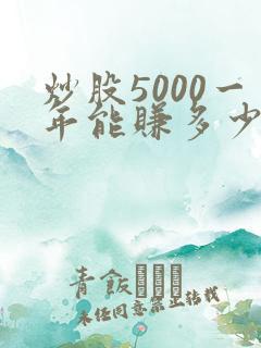 炒股5000一年能赚多少