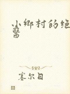 小乡村的绝色神医