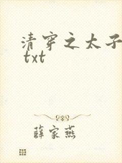 清穿之太子娇妃 txt