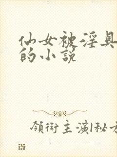 仙女被淫具折磨的小说