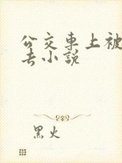 公交车上被插进去小说