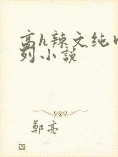 高h辣文纯肉系列小说