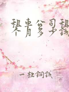 租车公司租车一个月多少钱