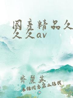 国产精品久久久久久av