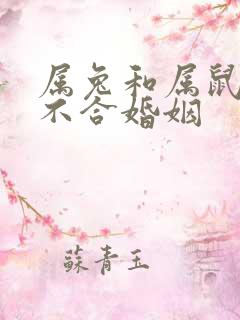 属兔和属鼠的合不合婚姻