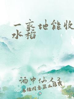 一亩地能收多少水稻