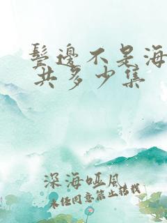 鬓边不是海棠红 共多少集