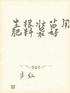 生根壮苗用什么肥料最好