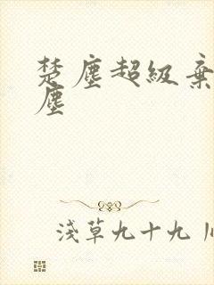 楚尘超级弃婿楚尘