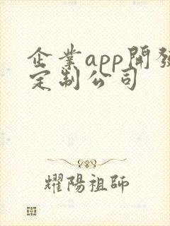 企业app开发定制公司