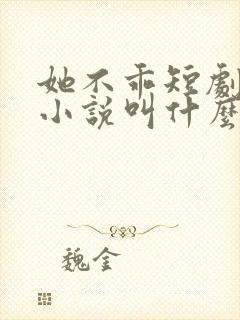 她不乖短剧原著小说叫什么