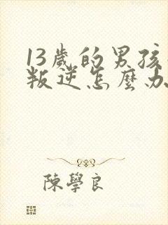 13岁的男孩子叛逆怎么办