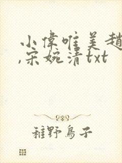 小伟唯美赵振国,宋婉清txt