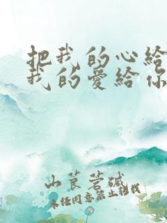 把我的心给你把我的爱给你歌词