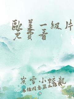欧美一级片高清免费看