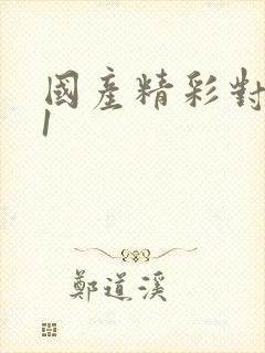 国产精彩对白91