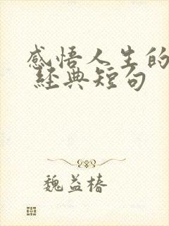 感悟人生的句子 经典短句