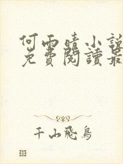 何雨晴小说全文免费阅读最新章节
