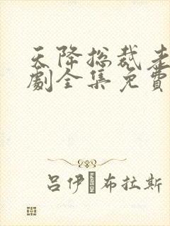 天降总裁老公短剧全集免费观看