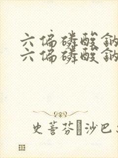六偏磷酸钠厂家六偏磷酸钠